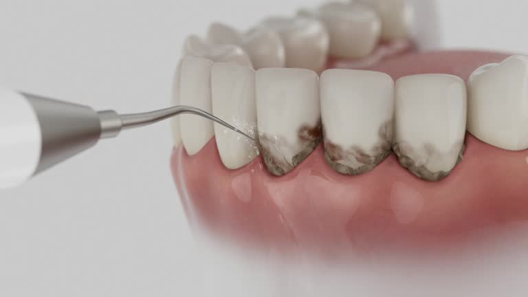 Reliable Dental contractor in Saucier, MS by Dentist Open Now